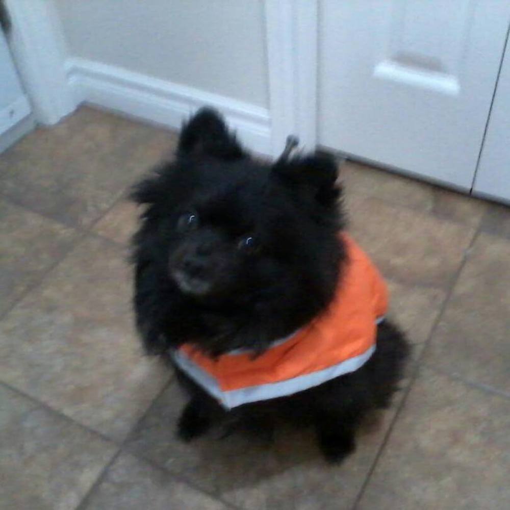 Meet your Posher, Carolyn